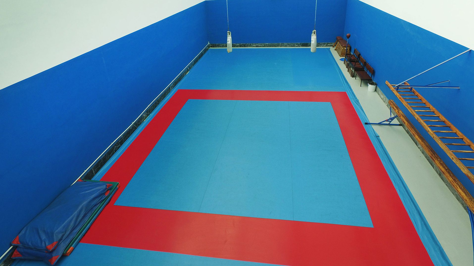 Festival de judo