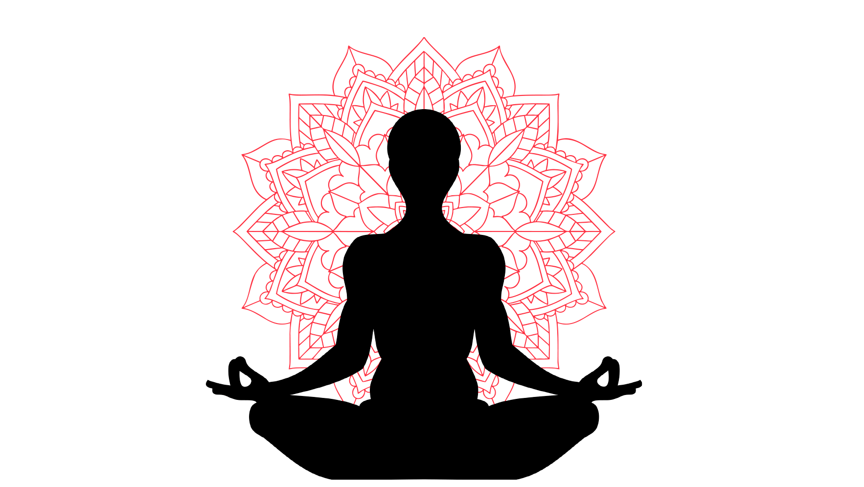 Escuela meditación y yoga 25/26